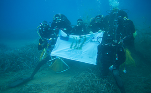 Posidonia oceanica: documentario ISPRA fa il punto su 20 anni di trapianti