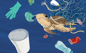 ISPRA lancia il nuovo fumetto del progetto INDICT sulla tartaruga marina "Carrie" alla Notte Europea dei Ricercatori