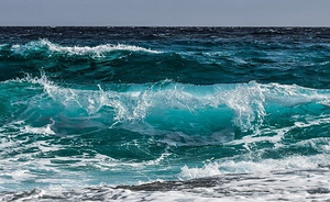 Condividere il sapere scientifico sull’oceano per incrementare l’Economia Blu