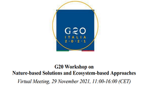 G20 Workshop on Nature-based Solutions and Ecosystem-based Approaches