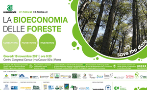 La bioeconomia delle foreste