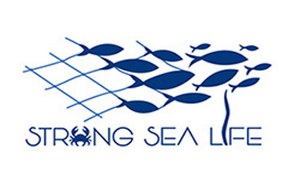 Rai News 24: servizio sul Progetto STRONG SEA LIFE