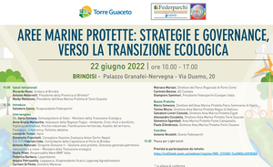 Aree Marine Protette: strategie e governance, verso la transizione ecologica