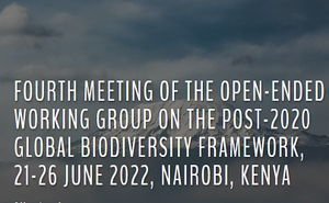 Fourth meeting of the Open-ended Working Group on the Post-2020 Global Biodiversity Framework
