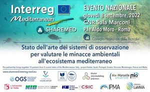 Stato dell'arte dei sistemi di osservazione per valutare le minacce ambientali all'ecosistema mediterraneo