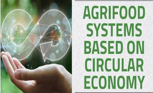 Agrifood systems based on circular economy