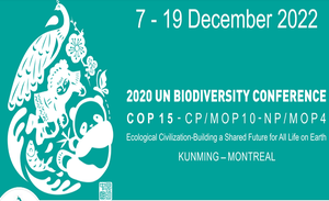 Conferenza delle Nazioni Unite sulla biodiversità (COP 15)