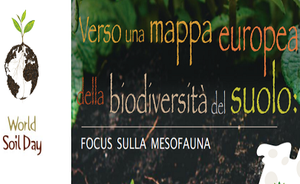 Verso una mappa europea della biodiversità del suolo: focus sulla mesofauna