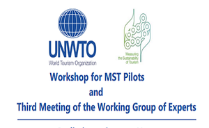 Workshop for MST Pilots and Third Meeting of the Working Group of Experts