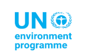 Global Environment Outlook (GEO7): bando UNEP