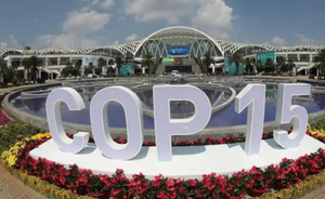 La COP15 di Montreal: una svolta nelle politiche sulla biodiversità?