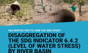 Disaggregation of the SDG indicator 6.4.2 (level of water stress) by river basin