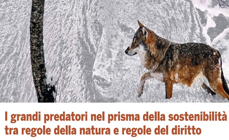 Predatori I grandi predatori nel prisma della sostenibilità tra regole della ...