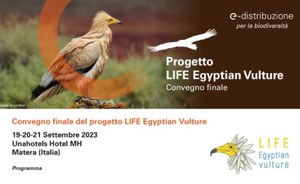 Convegno finale Progetto Life Egyptian Vulture