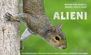 Mostra “Alieni. La conquista dell’Italia da parte di piante e animali introdotti dall’uomo”