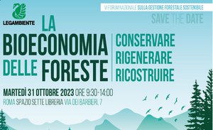 VI Forum nazionale "La bioeconomia delle Foreste"