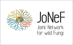 Il progetto JoNeF di IMPEL Network accoglie i membri europei in Italia