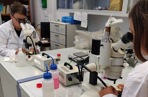 Giornata internazionale delle donne e delle ragazze nella scienza