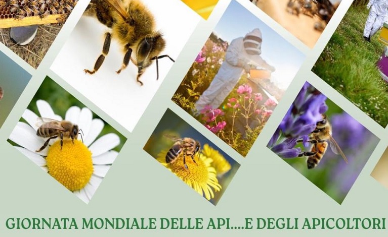 Le Api, gli Apicoltori e le Aree Protette — Italiano