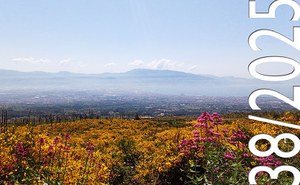 Pubblicato il numero 38/2025 di RETICULA