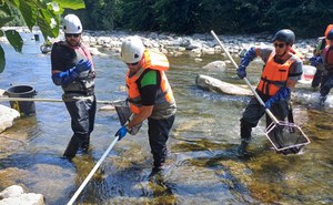 Diga di Pavana: ISPRA e Agenzie Ambientali controllano la ripresa della fauna ittica dopo il danno del 2020