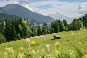 Ripristino della Natura: pubblicata sul portale del MASE una sezione dedicata al Regolamento (UE) 2024/1991