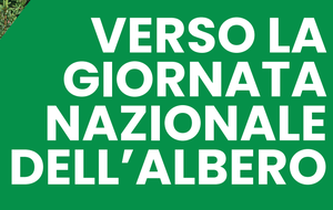 Verso la Giornata Nazionale dell’Albero 2025