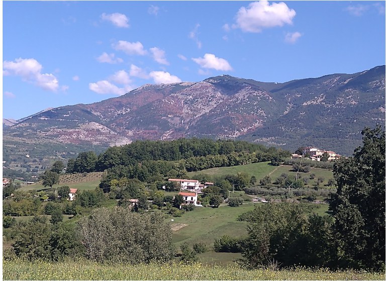 Effetti degli incendi del 2021 in alto Lazio visti nel 2022 Effetti degli incendi del 2021 in alto Lazio visti nel 2022