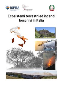 Rapporti incendi boschivi