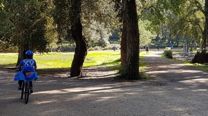 Benefici del verde urbano per la salute e il benessere psico-fisico