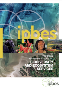 IPBES: al via la revisione esterna della Seconda valutazione globale della biodiversità e dei servizi ecosistemici (Second global assessment) 15 giugno 2026 – 7 agosto 2026