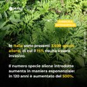 3699 specie aliene.jpg