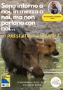 cinghiale.jpg
