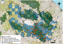 fig.2 orso.png