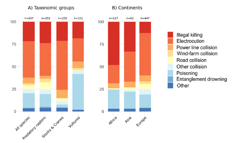 Fig. 3 Incidenza delle diverse cause di mortalità indotte dall’uomo per rapaci, gru e cicogne lungo la flyway eurasiatica-africana. L’elettrocuzione, provocando il 40,5% delle morti, rappresenta la principale minaccia nell’intera area geografica considerata; in Europa questa percentuale sale al 47,2%. Da: Serratosa et al 2024 