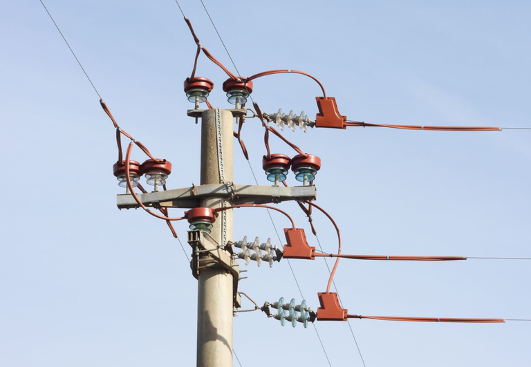 Fig. 5 Linee di trasporto elettriche messe in sicurezza. Da notare gli isolanti rossi per prevenire l’elettrocuzione. Foto A. Andreotti ISPRA. 