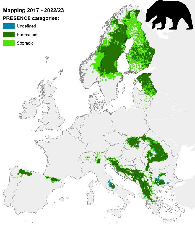 Distribuzione dell’orso bruno (Ursus arctos) in Europa nel periodo 2017-2023 (fonte: Large carnivore distribution maps and population updates 2017 – 2022/23)