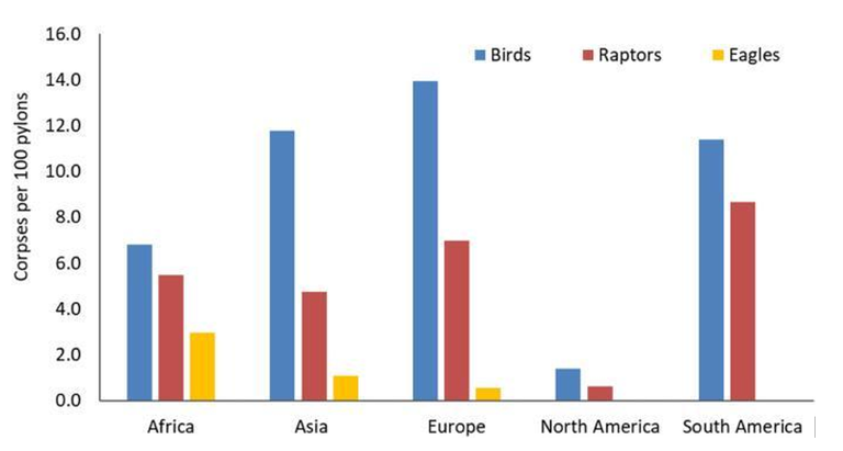 Fig. 4 Numero di uccelli trovati morti ogni 100 sostegni delle linee elettriche; tali valori sono stati determinati attraverso una review degli articoli scientifici pubblicati. In Europa si si è registrata una media di 13,9 uccelli ogni 100 sostegni controllati