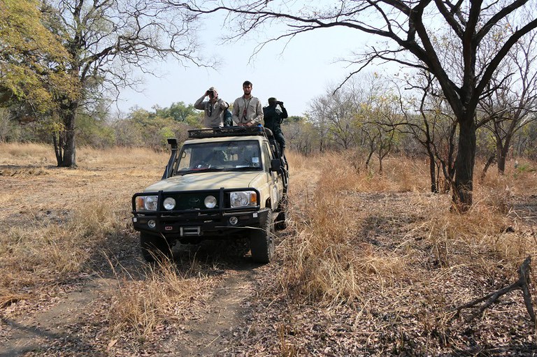 monitoraggio della fauna selvatica monitoraggio della fauna selvatica