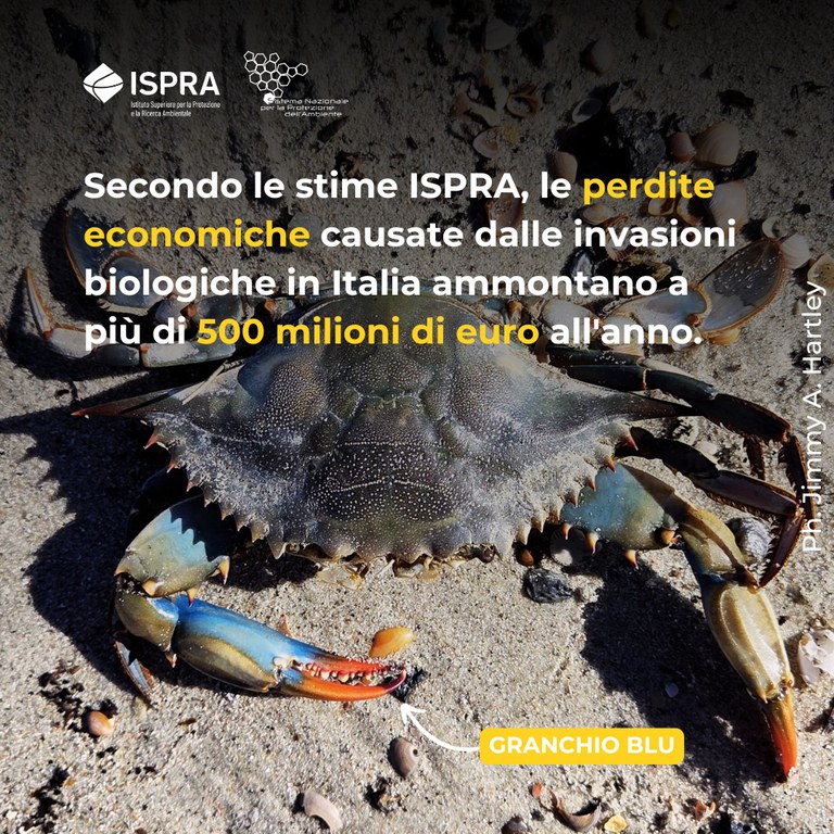 perdite economiche.jpg