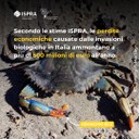 perdite economiche.jpg