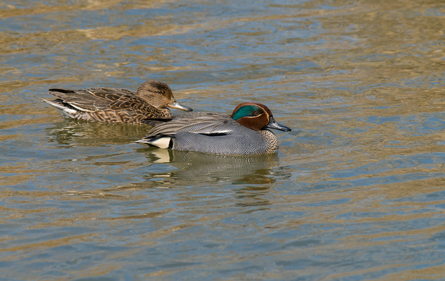 Screenshot 2025-02-07 091457.png