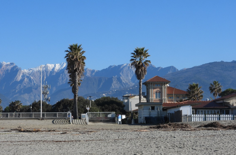 La spiaggia esaminata con le Apuane sullo sfondo. Foto A. De Faveri La spiaggia esaminata con le Apuane sullo sfondo. Foto A. De Faveri