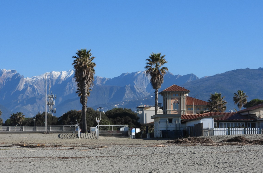 Screenshot 2025-02-07 130517.png