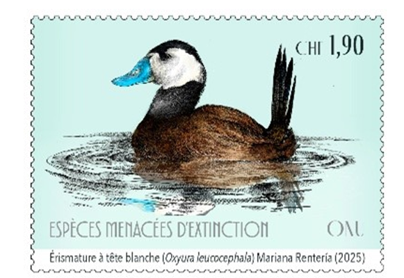 Screenshot 2025-11-14 090020.png