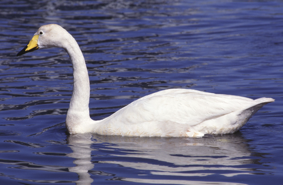 Screenshot 2026-01-13 165842.png