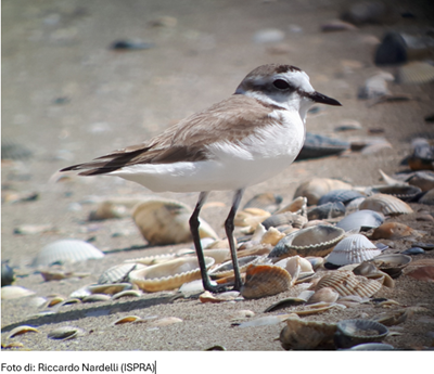 Screenshot 2026-02-25 151028.png