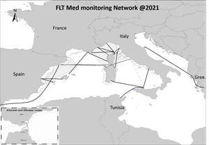 Fixed Line Transect Mediterranean monitoring Network - marine species and threats (FLT Med Net)