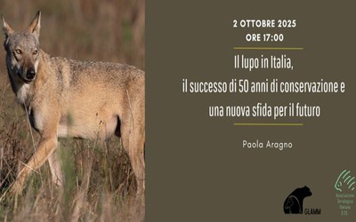 il lupo in italia