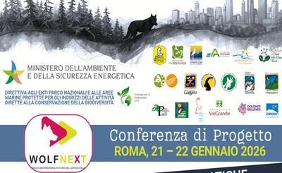 Conferenza del Progetto WOLFNExT